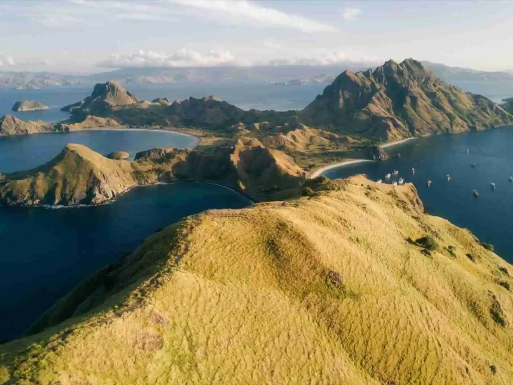 Solo Travel Komodo Open Trip 2027: A No-Supplement Guide